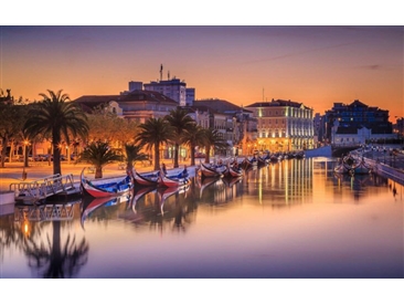 Aveiro & Coimbra Tour